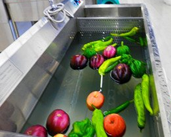 荊楚好物賦能商家！商用全自動洗菜機省水高效，湖北智造讓后廚清潔更輕松